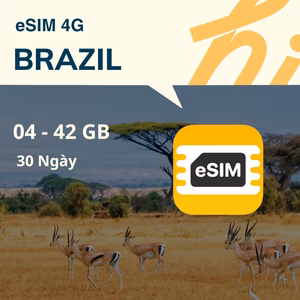 Esim brazil