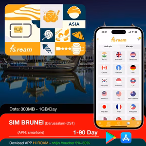 Sim 4g/5g brunei